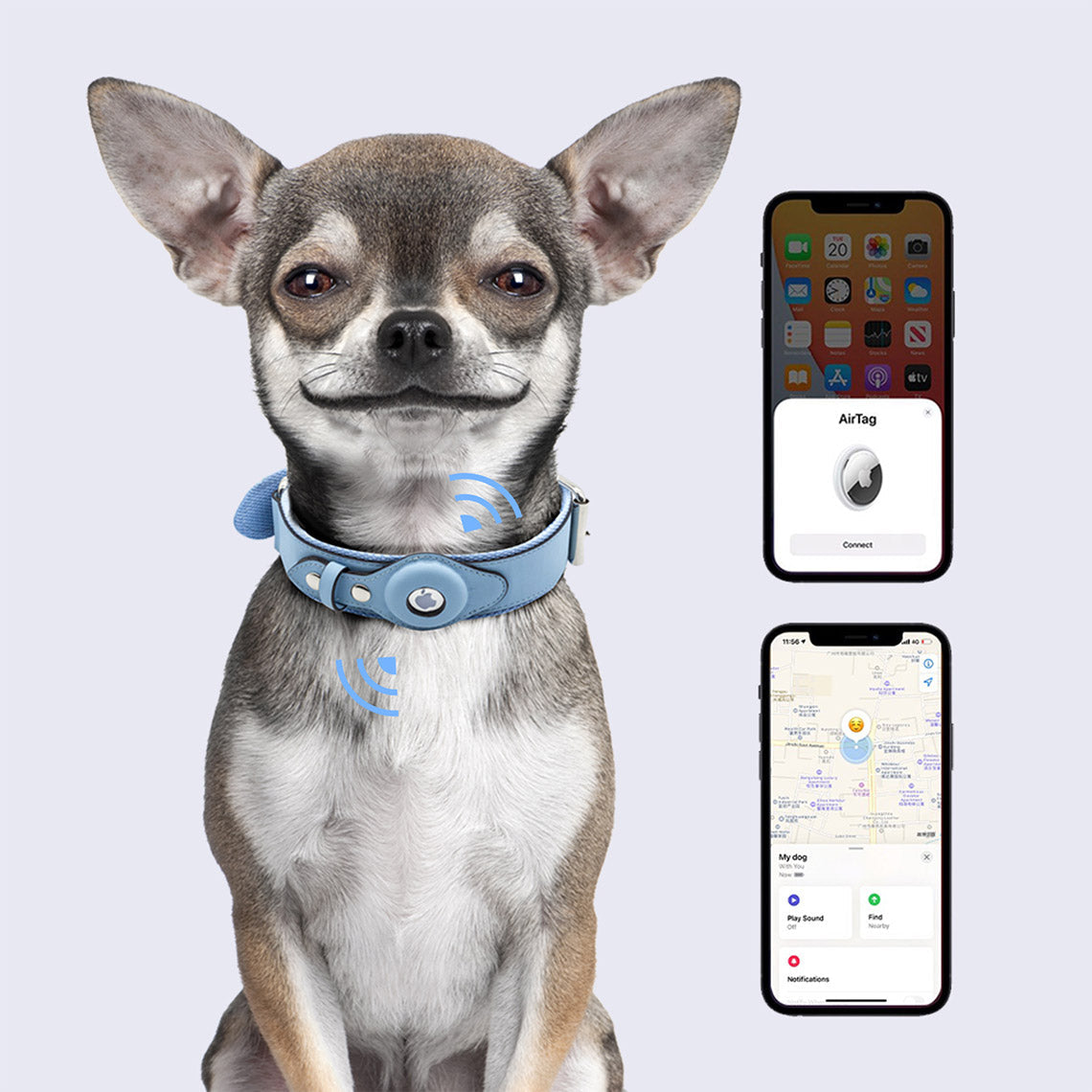 Vegan Leather Dog Collar with Airtag Case - Black & Blue - Image 3